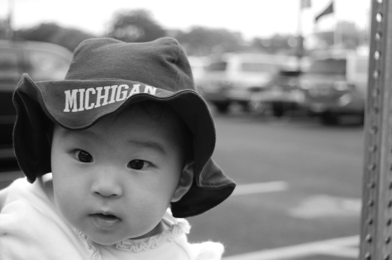 Michigan Wolverines fan