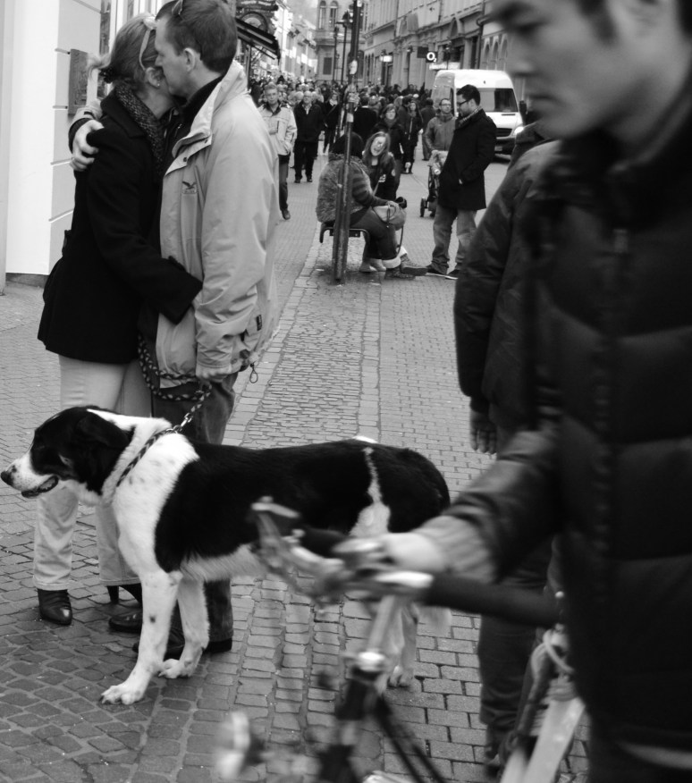 Two Lovers And Their Dog
