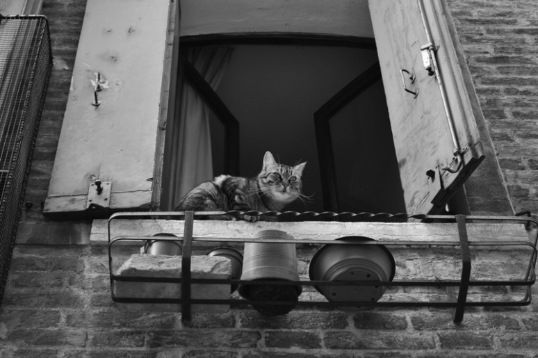 Watching tourists walk by