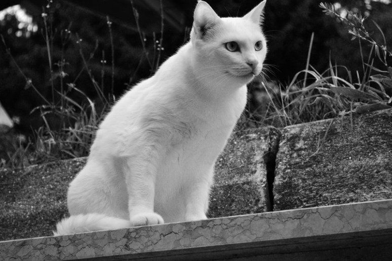 Santa Caterina/Veneto