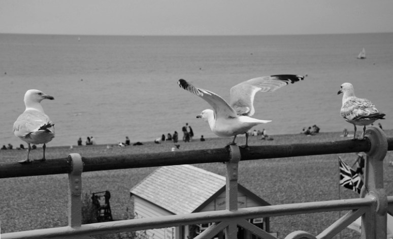 Brighton